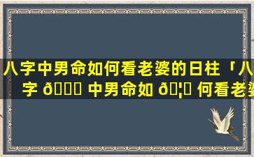 八字中男命如何看老婆的日柱「八字 🐝 中男命如 🦈 何看老婆的日柱和月柱」